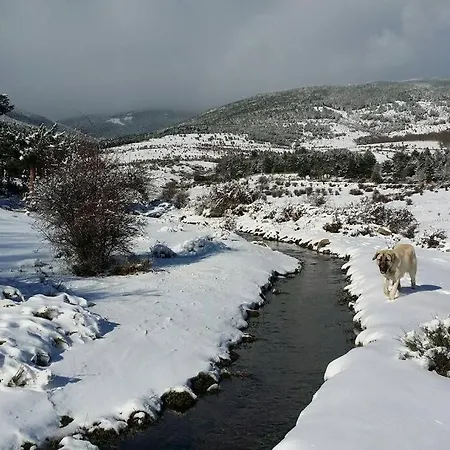 Via Fera, Con Vistas A La Naturaleza Braojos de la Sierra Exterior photo